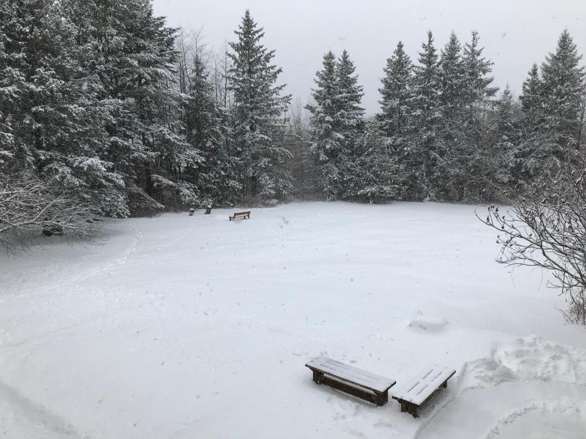 ويكفيلد La Grange Country Inn المظهر الخارجي الصورة